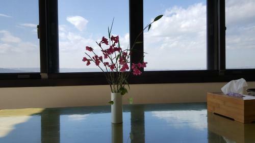 Hostal Chi House