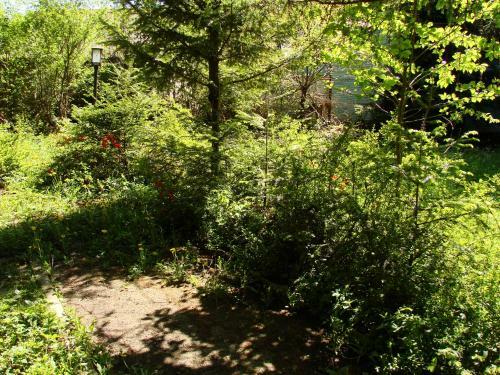 Hostal Edelweiss