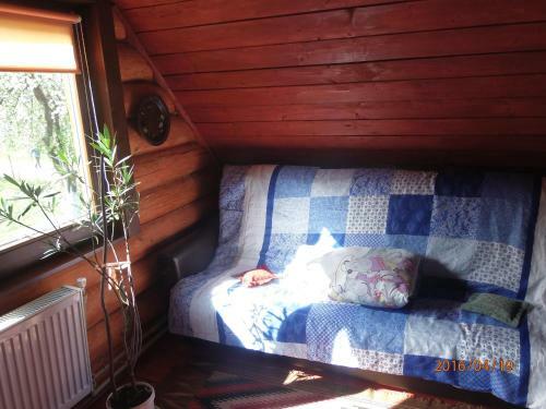 Lodge Guest House Family Green