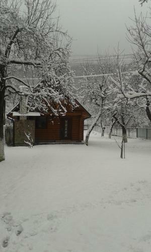 Lodge Guest House Family Green