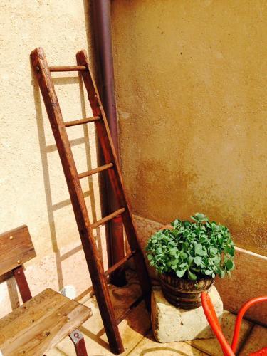 Bed & Breakfast Corte Degli Olivi