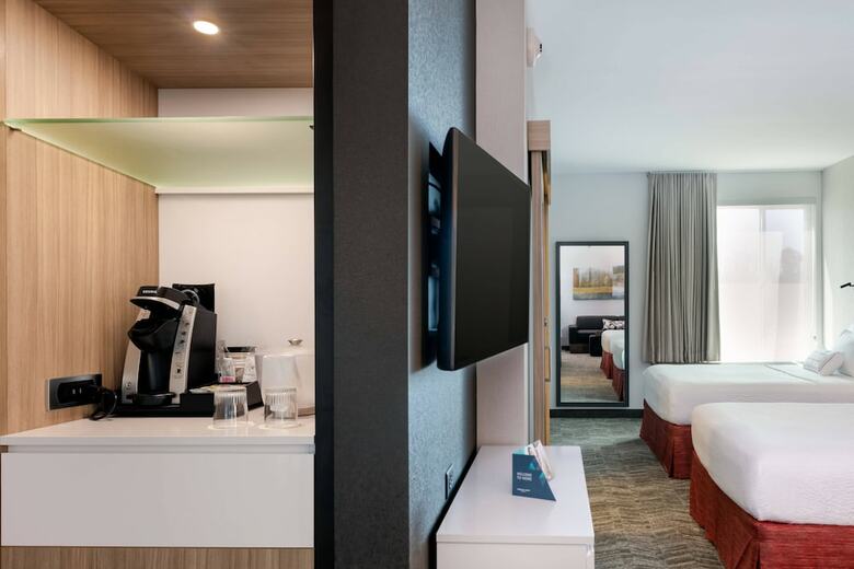 Hotel Springhill Suites By Marriott Chattanooga South/ringgold