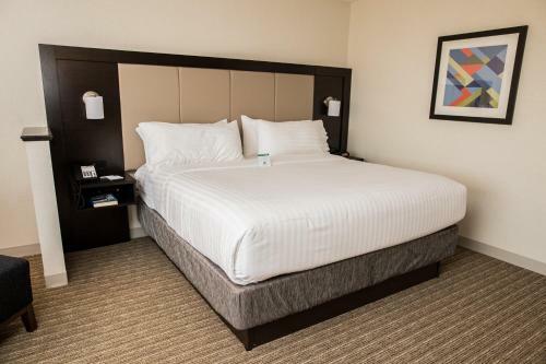 Hotel Holiday Inn Express & Suites - Marietta