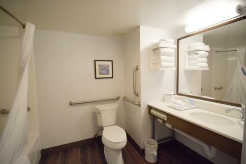Hotel Hampton Inn Salem East - Electric Road