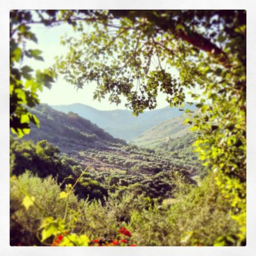 Agroturismo Agriturismo Al Poggetto