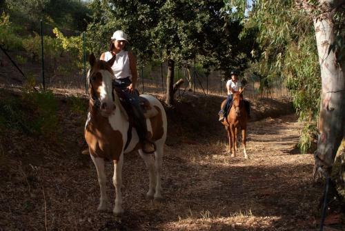 Agroturismo Agriturismo Al Poggetto
