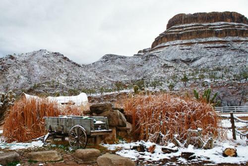 Agroturismo Grand Canyon Western Ranch