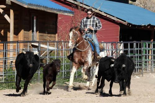 Agroturismo Grand Canyon Western Ranch