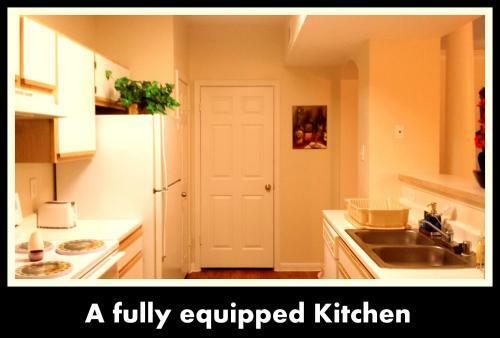 (428) Apartment Near Sugar Land