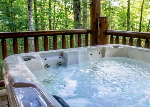 Bear Crossing #6