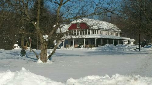 Beagle's Bed & Breakfast