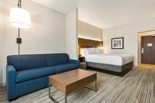 Hotel Holiday Inn Express & Suites - Carrollton West