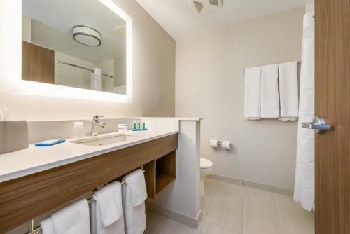 Hotel Holiday Inn Express & Suites - Carrollton West