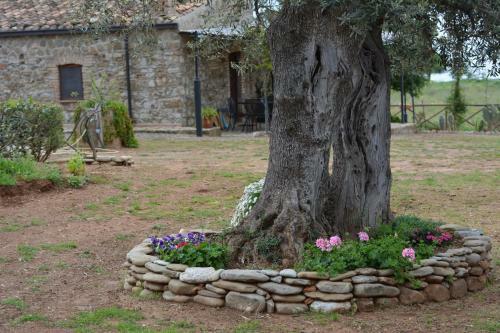 Agroturismo Masseria Cielogreco
