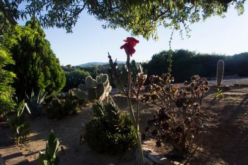 Agroturismo Masseria Cielogreco