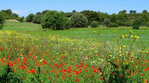 Agroturismo Masseria Cielogreco