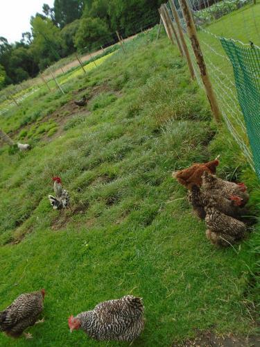 Hostal Turismo Rural El Gobernador