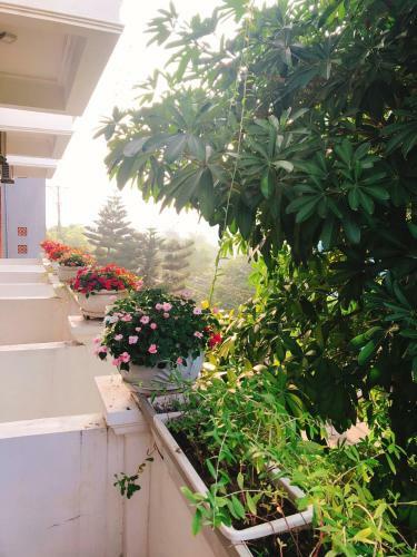 Diep's House Eco Homestay
