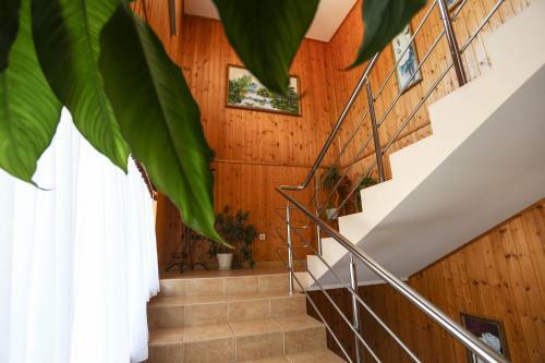 Hostal Colibri
