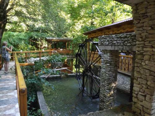 Wellness Park Hotel Gagra All-inclusive