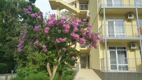 Wellness Park Hotel Gagra All-inclusive