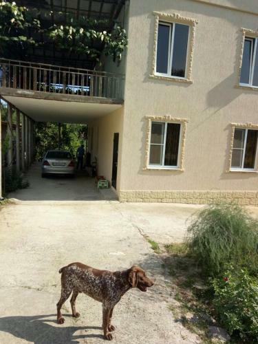 Hostal Guest House San Tina