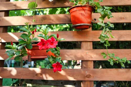 Kashtak Cottages