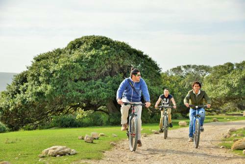 De Hoop Collection