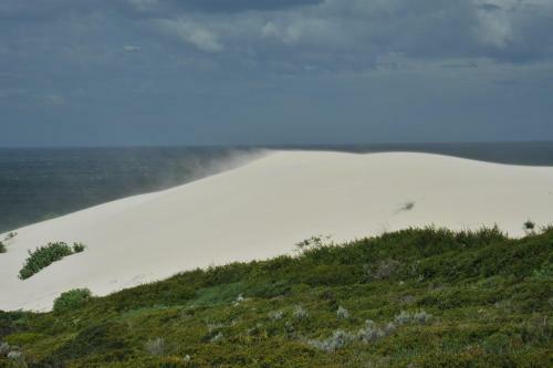 De Hoop Collection