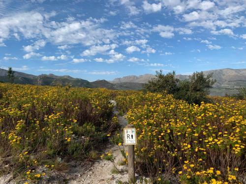 Hotel Trail's End