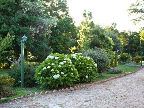 Hostal Andelomi Nature's Rest