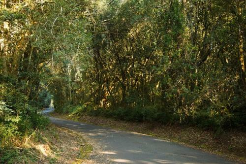 Mount Sheba Rainforest Hotel & Resort