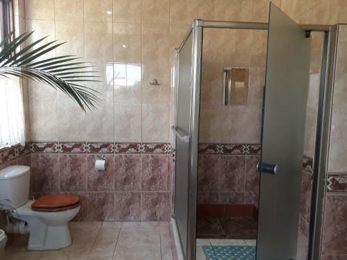 Hostal The Guest House Standerton