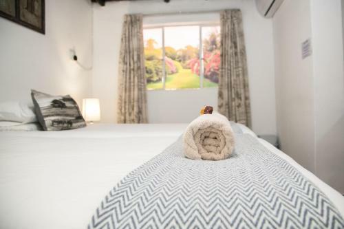 Hostal El Shadai Guest House