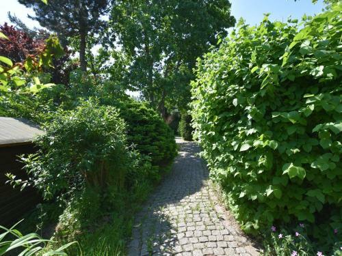 Spacious Apartment In Buschenhagen With Sauna
