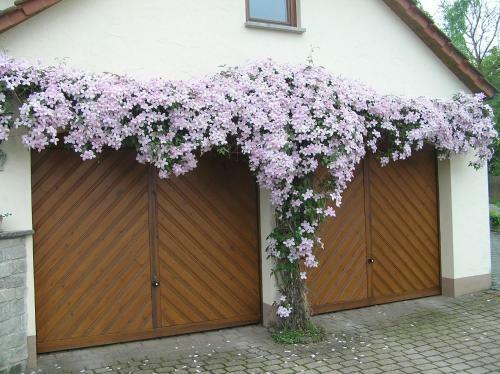 Apartamento Ferienwohnung Am Alten Berg