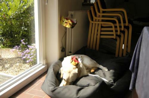 Hostal Henne Strand Ferie Accommodation