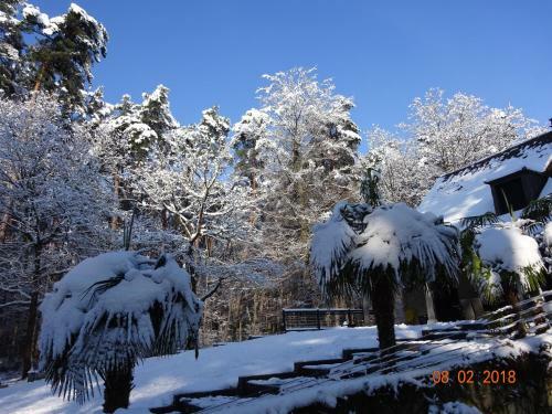 Bed & Breakfast L'albiziane - Maison D'h�tes
