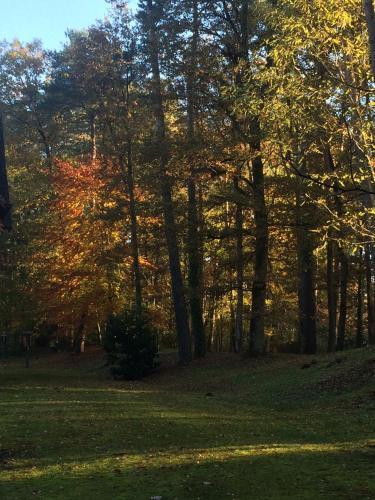 Bed & Breakfast L'albiziane - Maison D'h�tes
