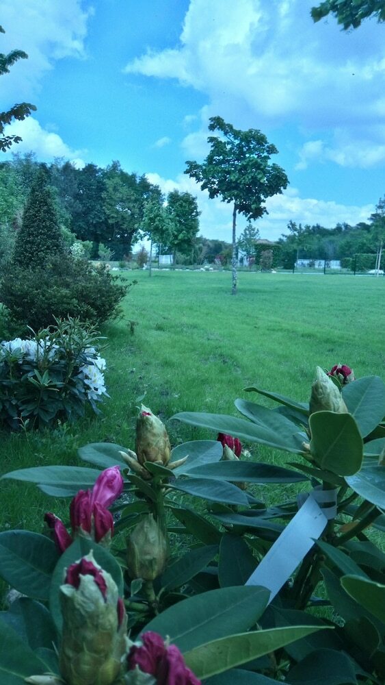 Villa Airial de Tourteau Chollet