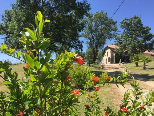 Charming Holiday Home In Monfort With Private Swimming Pool