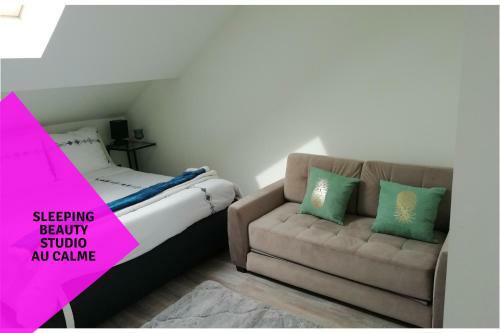 Apartamento G�tes de Grand Standing A Romilly Sur Seine