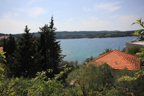 Apartments By The Sea Necujam, Solta - 8691