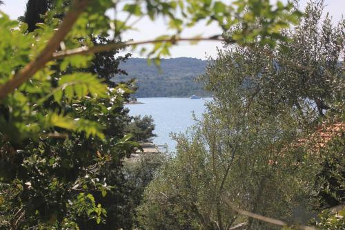 Apartments By The Sea Necujam, Solta - 8691
