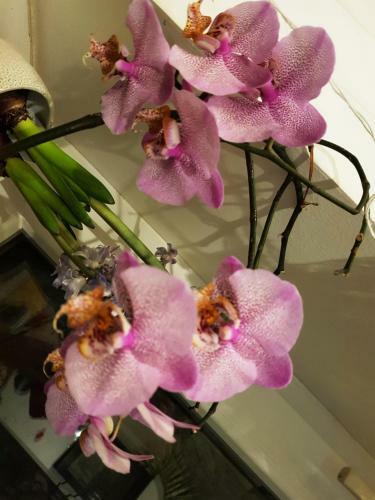 Bed & Breakfast Kincsesb�nya