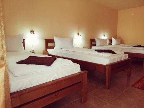 Hostal Airport K�roly Centr�l 75