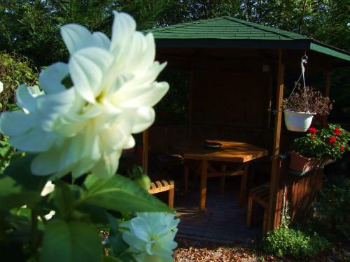 Bed & Breakfast Pollushof Panzi� �s �tterem