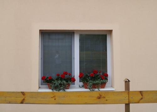 Hostal Artemisz Gasztro
