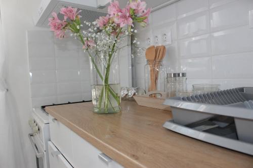 Apartamento Wanderer 1