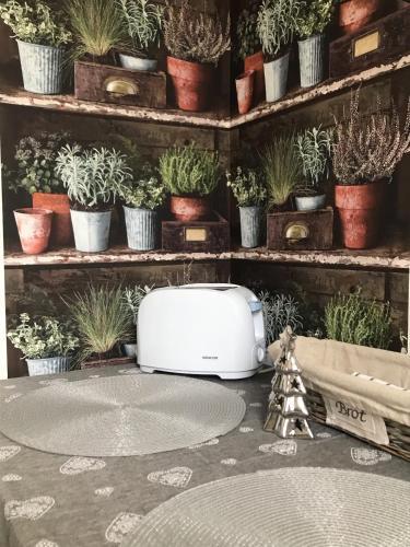 Apartamento Wanderer 1